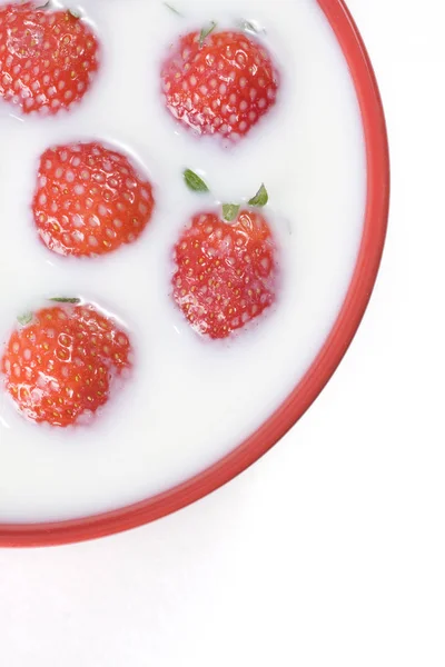 Berries Closeup Shot Healthy Food Concept — Stock Photo, Image