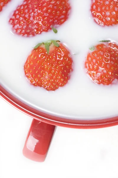 Berries Closeup Shot Healthy Food Concept — Stock Photo, Image