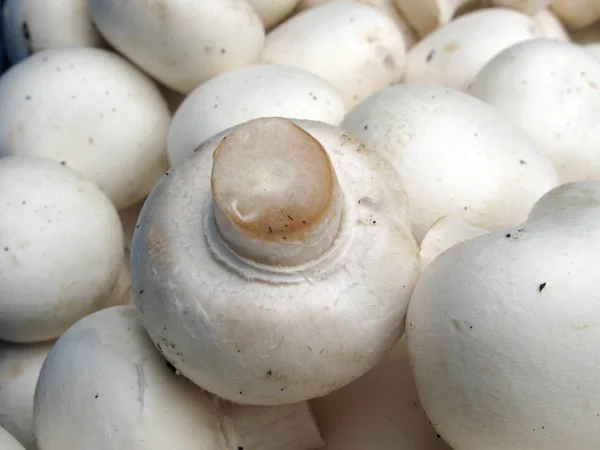 Vegetarische Kost Selektiver Fokus — Stockfoto