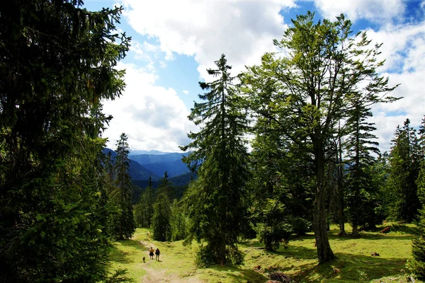 Bavarian Beautiful Land Area Germany — Stock Photo, Image