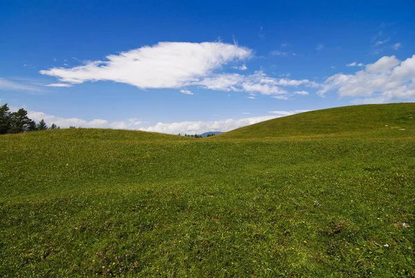 Sur Les Montagnes Liberté Doit Effet — Photo