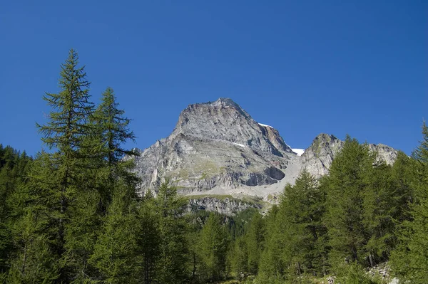 Vista Pittoresca Bellissimo Paesaggio Primaverile — Foto Stock