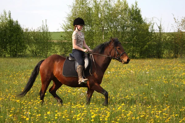 Horsewoman Spring Meadow — Stock Photo, Image
