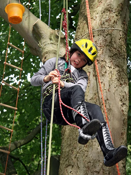 Rope Climbing Tree — Stock Photo, Image