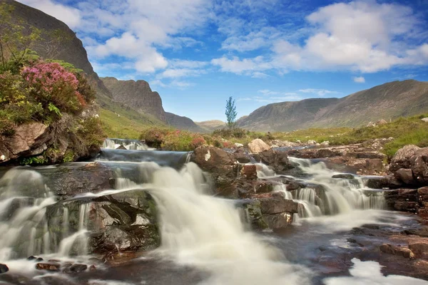 Natur Flora Wasserfall Wasserfluss — Stockfoto