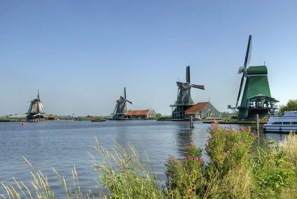Windmills Zaanse Schans — Stock Photo, Image