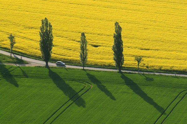 Rijden Door Lente — Stockfoto