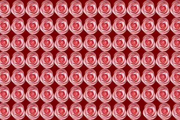 Fundo Trabalho Rosas Rosa — Fotografia de Stock