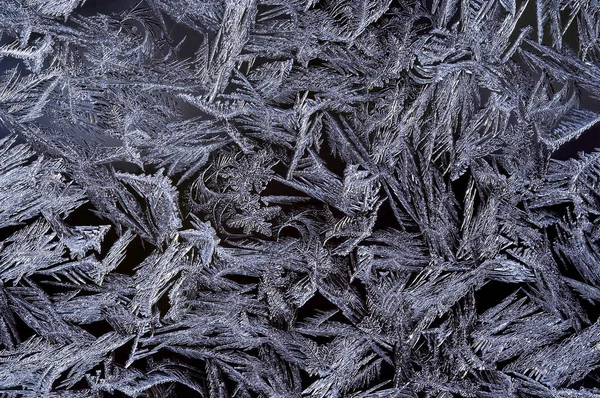Frost Blume Hintergrundbild Tapete — Stockfoto