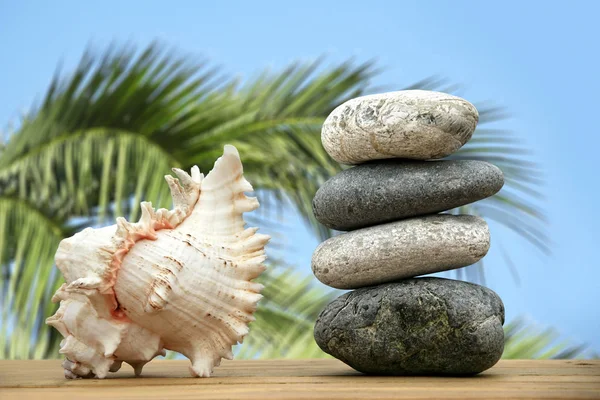 Pile Pebble Stones Seashell — Stock Photo, Image