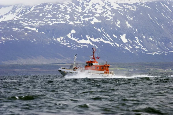 Barco Piloto Fiorde Norueguês — Fotografia de Stock