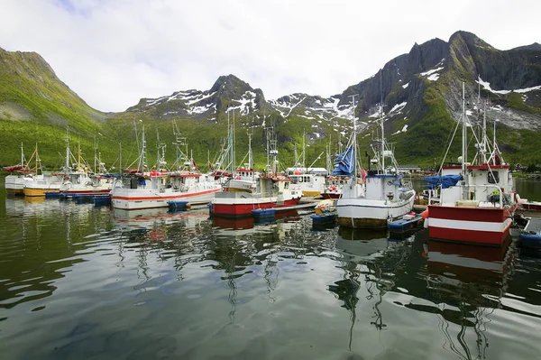 山を背景に港の漁船が — ストック写真