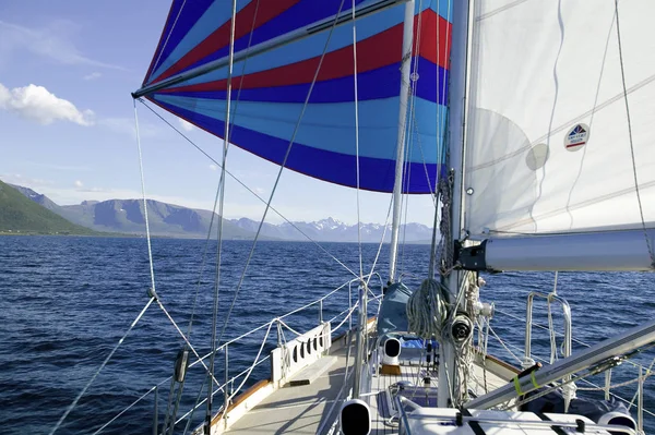 Spinnaker Sailing Fjord — Stock Photo, Image