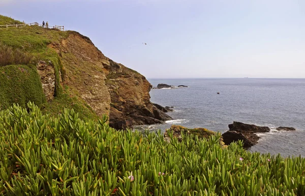 Costa Cornwall Ponto Lagarto — Fotografia de Stock