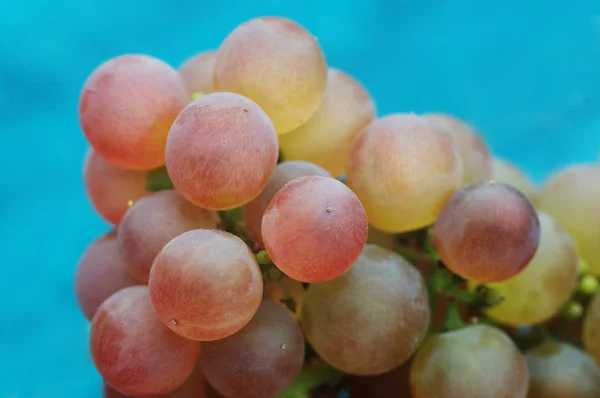 Uvas Suculentas Bagas Frutas Alimentos — Fotografia de Stock