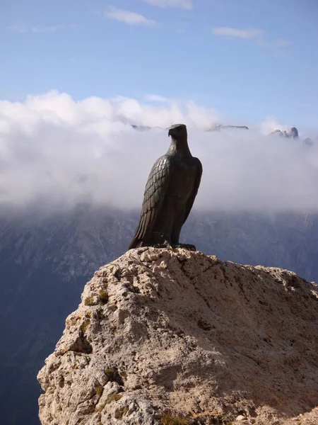 Vista Panorámica Del Majestuoso Águila Real Naturaleza Salvaje —  Fotos de Stock