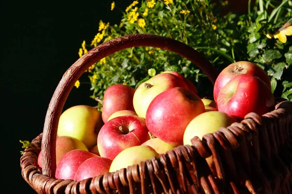 Vegetarisk Mat Selektivt Fokus — Stockfoto