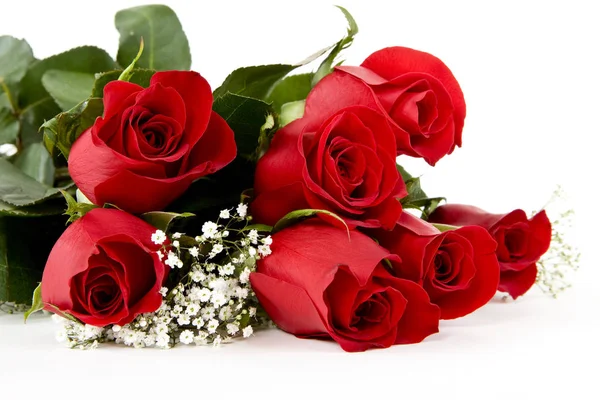 Rosa Roja Pétalos Flores Flora —  Fotos de Stock