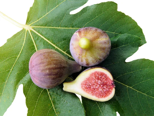 Fichi Foglie Verdi Degli Alberi Alberi Frutto — Foto Stock