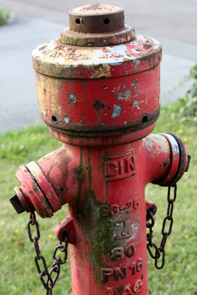 Oude Brandkraan Het Park — Stockfoto