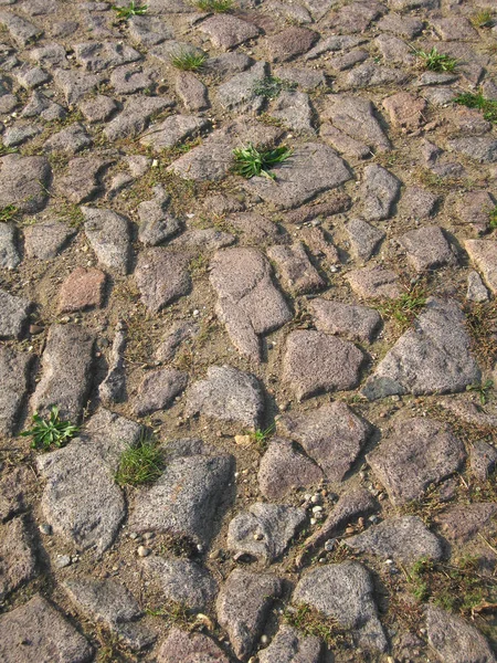 Adoquines Pavimento Textura Del Camino Piedras Rocas — Foto de Stock