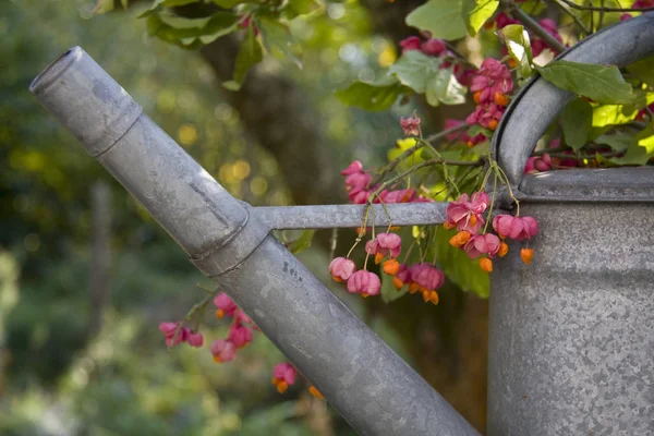 Herfstsfeer Selectieve Focus — Stockfoto