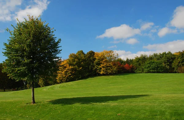 Vacker Utsikt Över Naturen — Stockfoto