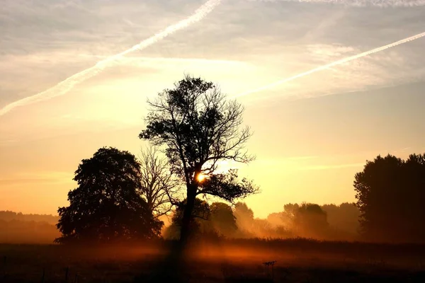 Morgens Brandenburg Heißt Diese Stimmungen Einfangen Früh Aufstehen Aber Man — Stockfoto