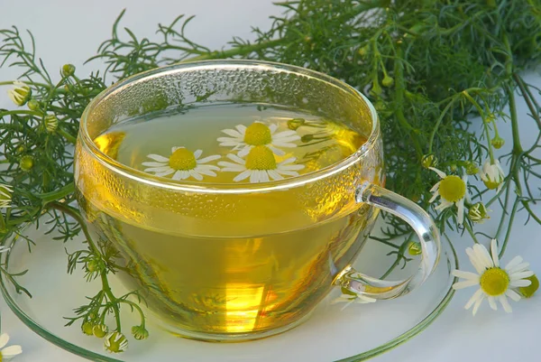 Chamomile Tea Herbal Drink — Stock Photo, Image