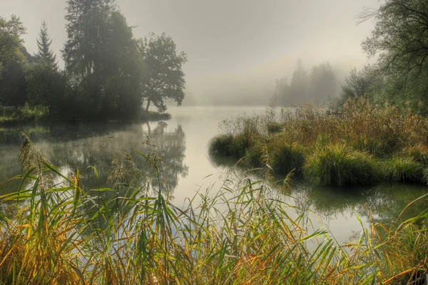 Étang Dans Brume Matin — Photo