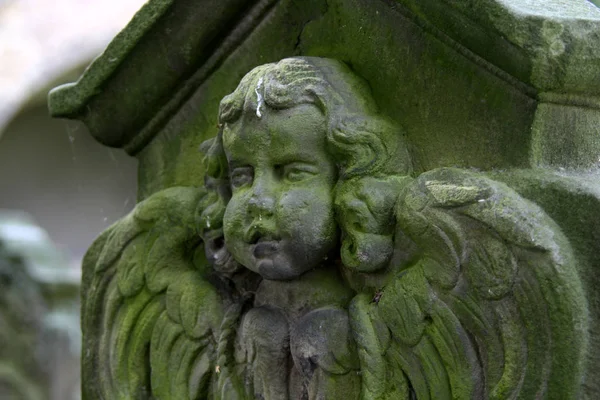 墓地に天使の像がある — ストック写真