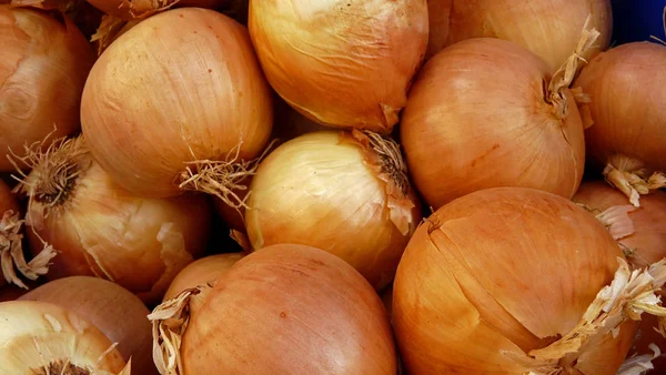 Olika Ingredienser Selektivt Fokus — Stockfoto