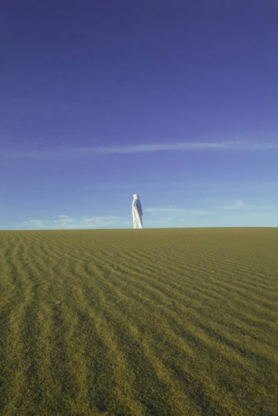 Uma Vista Campo Trigo Deserto — Fotografia de Stock