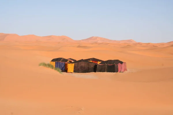 Desert Landscape Camels Tent — Stock Photo, Image