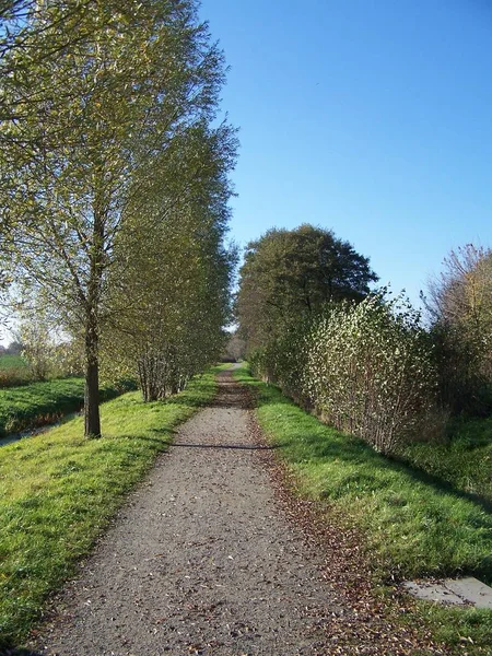 Prachtig Uitzicht Natuur — Stockfoto