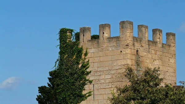 Watchtower Mimari Binası Gözetleme Kulesi — Stok fotoğraf