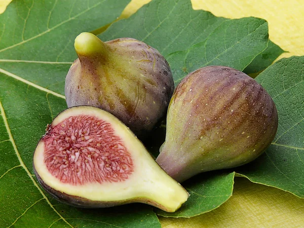 Higueras Hojas Verdes Árboles Frutales — Foto de Stock