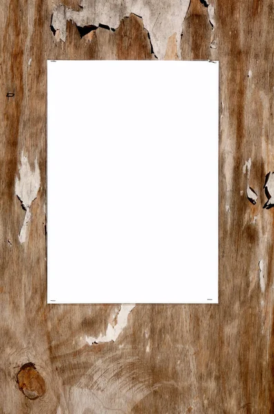 Prázdný Bílý Papír Přilepený Staré Desce — Stock fotografie