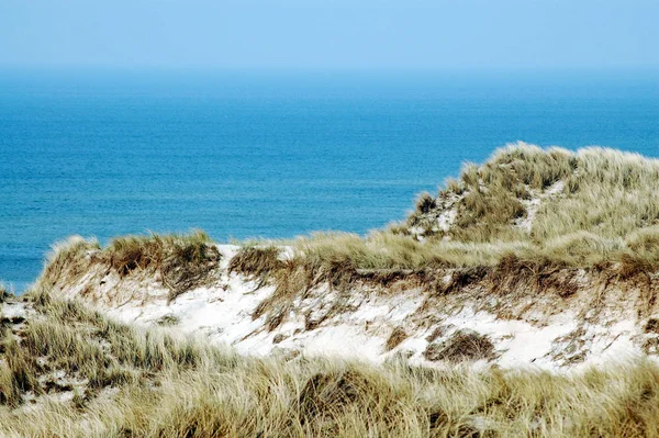 Vista Panoramica Delle Dune Focus Selettivo — Foto Stock