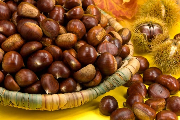 Close View Chestnuts Autumn — Stock Photo, Image