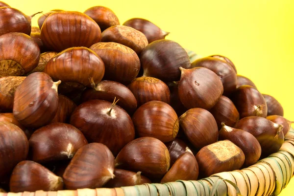 Edible Chestnuts Basket — Stock Photo, Image