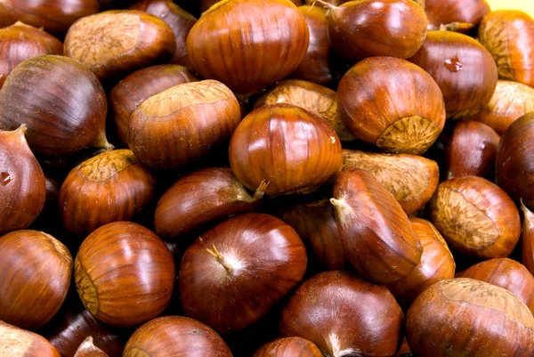 Close Zicht Kastanjes Herfst — Stockfoto