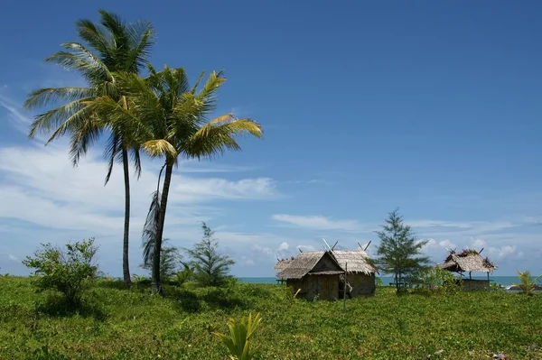 Bella Vista Sulla Natura — Foto Stock