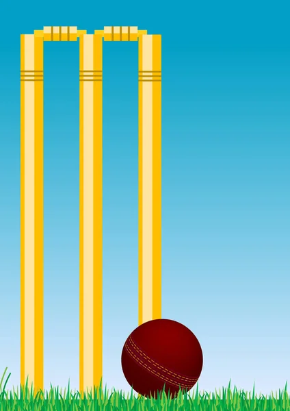 Balle Cricket Dans Herbe — Photo