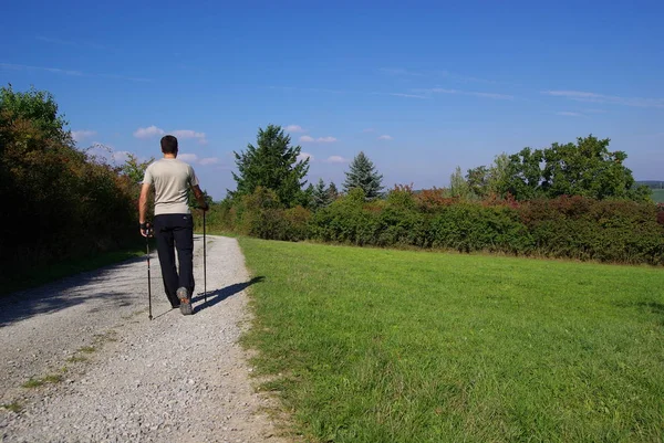 背着背包走在公园小径上的男人 — 图库照片