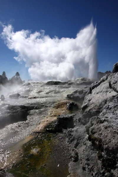 Geysir Rotorua Nieuw Zeeland — Stockfoto