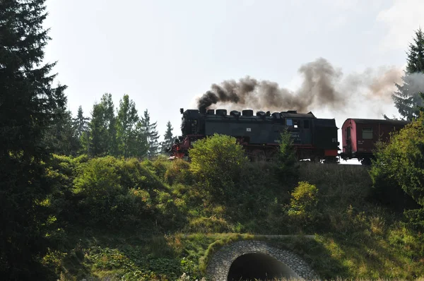 Вузькоколійка Підсвічуванні — стокове фото