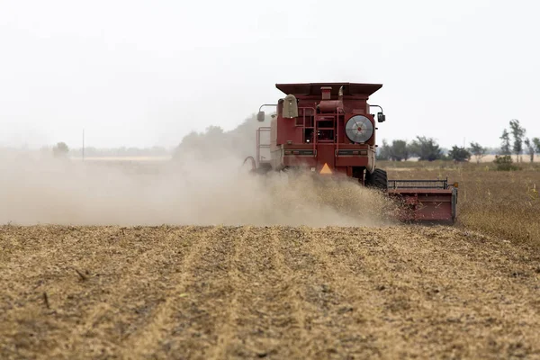 Landschappelijke Kijk Landbouw Selectieve Focus — Stockfoto