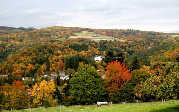 Autumnal Atmosphere Selective Focus — Stock Photo, Image