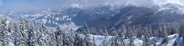 Bosque Invierno Zillertal —  Fotos de Stock